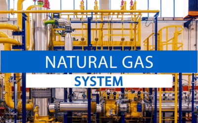 Natural gas system